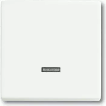Busch Jaeger 6599-0-2963 Light Switch White (6599-0-2963)