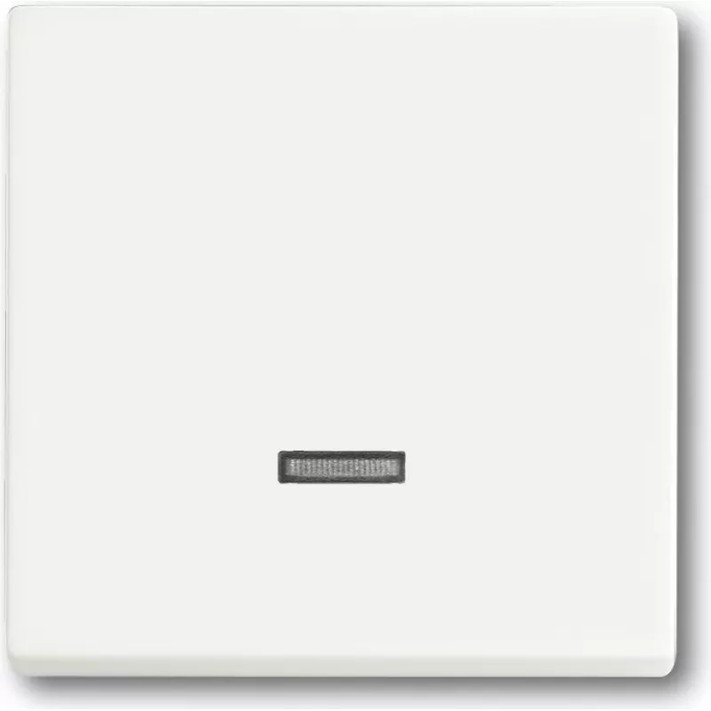 Busch Jaeger 6599-0-2963 Light Switch White (6599-0-2963)