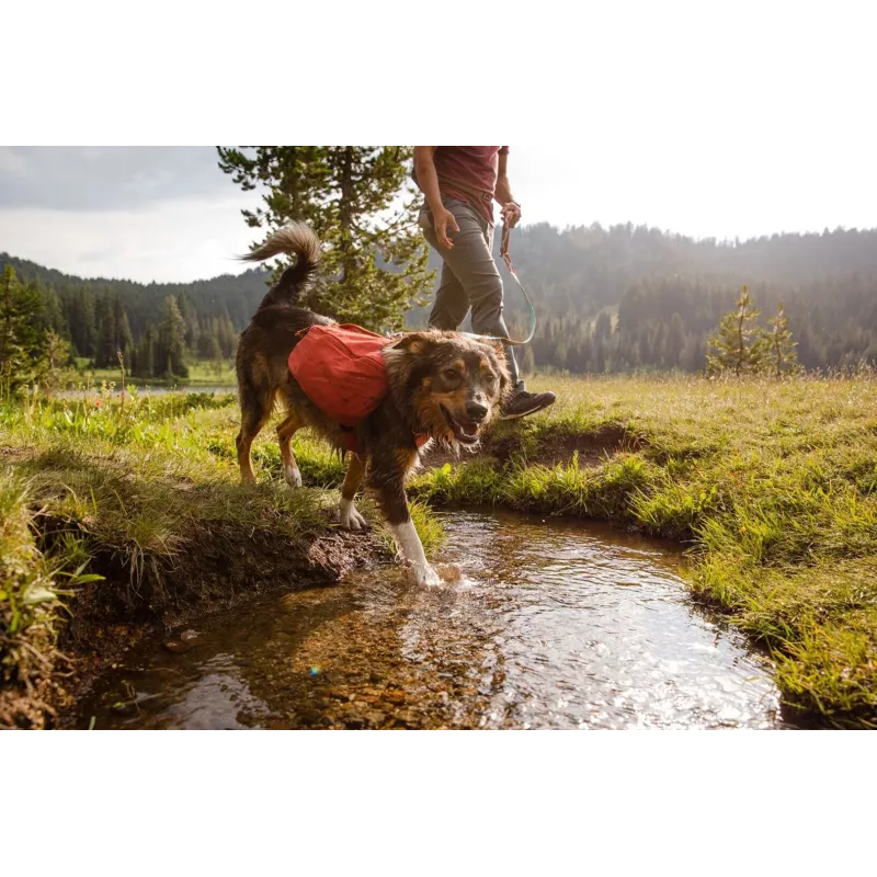 Ruffwear Front Range XS Mėlynas poliesteris