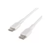 USB laidas Belkin BoostCharge 1m USB C baltas USB 2.0