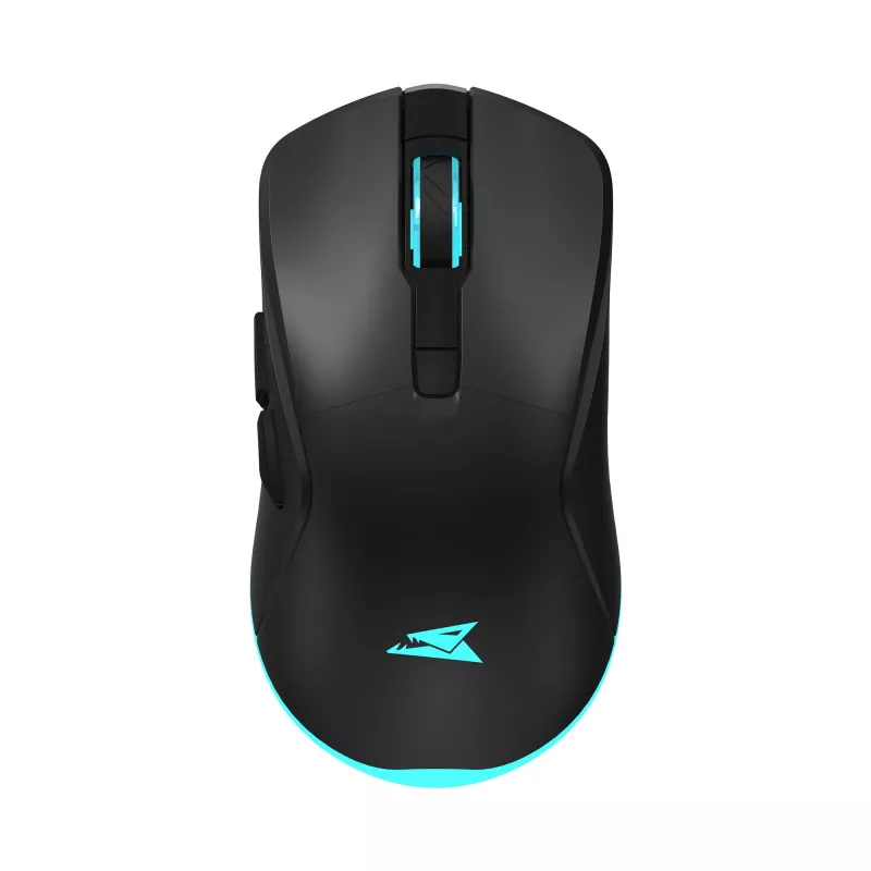 Pelė Baracuda BGM-121 Turtle juoda USB
