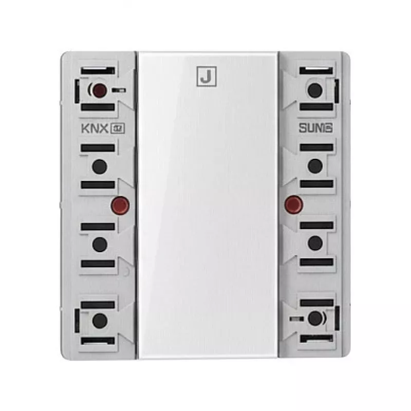 Jung LS 52921 ST KNX jutiklių modulis universalus, dviejų kanalų, F50, serija LS