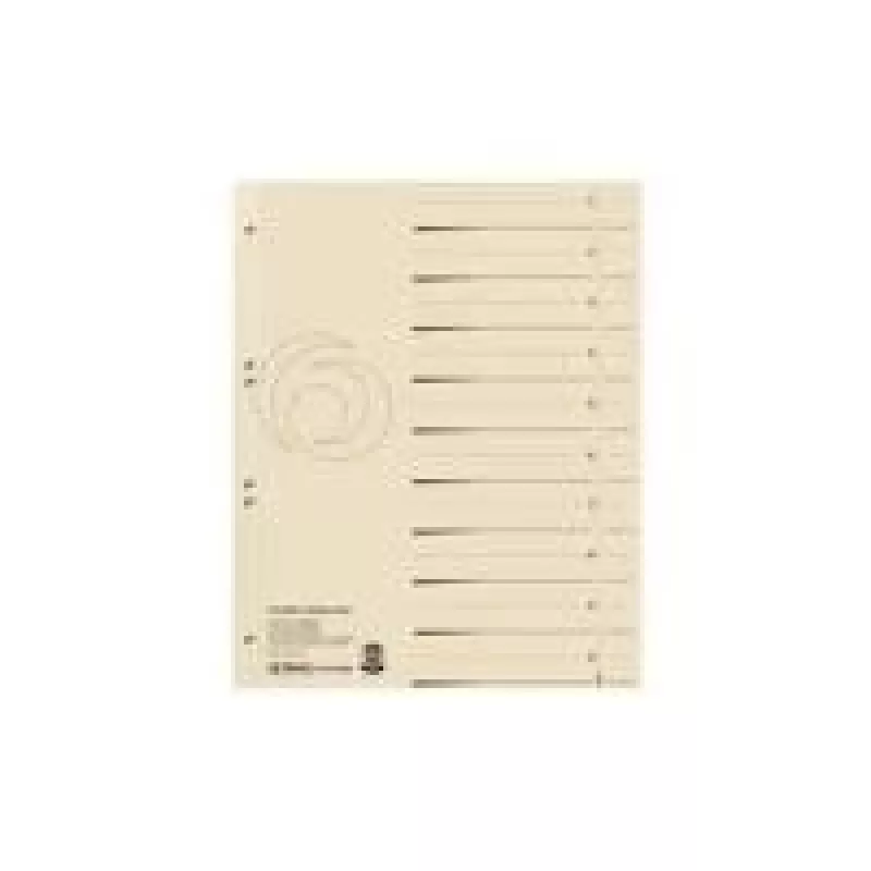 Skirstytuvas Herlitz 10840205 Smėlio spalvos kartonas A4