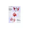 Laminavimo plėvelė Olympia 1x50 DIN A3 125 mikronų