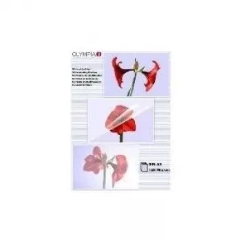 Laminavimo plėvelė Olympia 1x50 DIN A3 125 mikronų