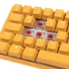 Ducky One 3 SF Geltona klaviatūra, skirta žaidimams, USB, mechaninė, RGB LED