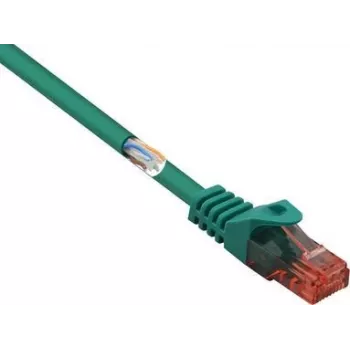 Renkforce RF-5153666 Ethernet komutacinis kabelis žalias