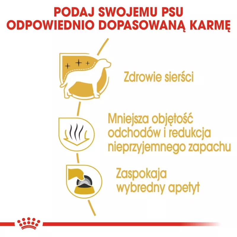 Sausas šunų maistas Royal Canin Maltese Adult 1.5 kg — vištiena, 24% baltymų, 18% riebalų