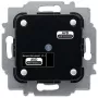 Kištukinis lizdas Busch-Jaeger 2CKA006220A0017 230 V 4 A IP20 juoda/pilka 71x71x45 mm
