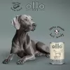 OLLO Pure Horse - šlapias šunų maistas - 400g