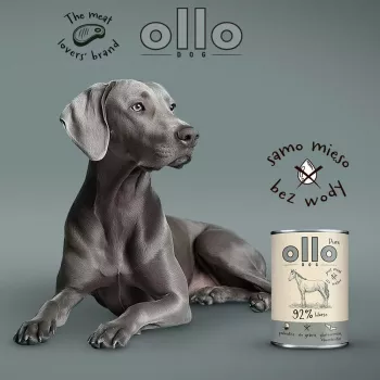 OLLO Pure Horse - šlapias šunų maistas - 400g