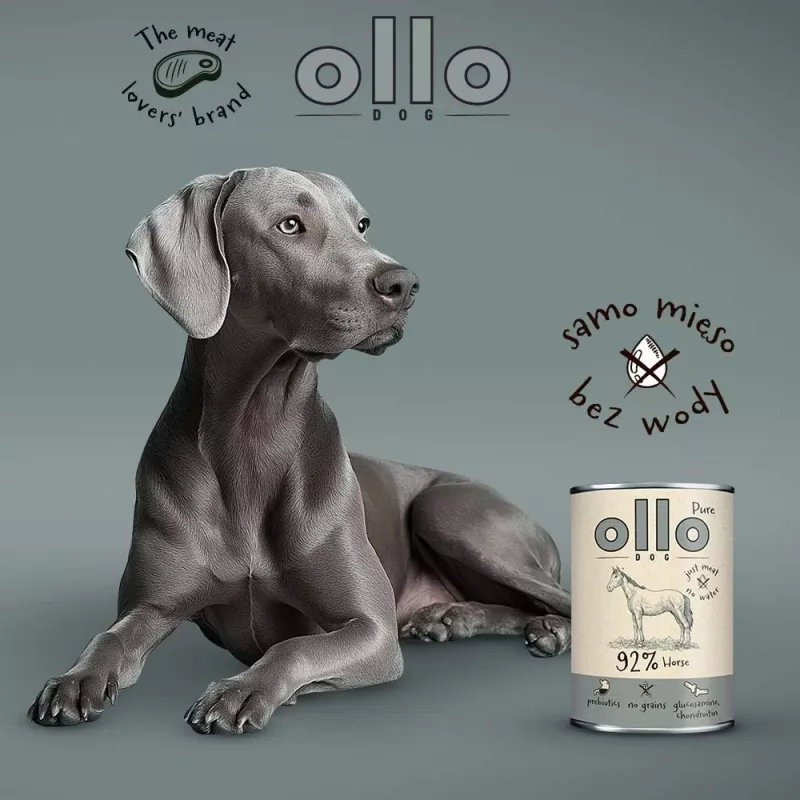 OLLO Pure Horse - šlapias šunų maistas - 400g