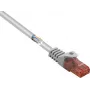 Renkforce RF-5047522 tinklo kabelis pilkas 3 m Cat6 U/UTP (UTP) (RF-5047522)