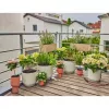 Lašelinė laistymo sistema Gardena 13401-20 žarnos ilgis 20 m