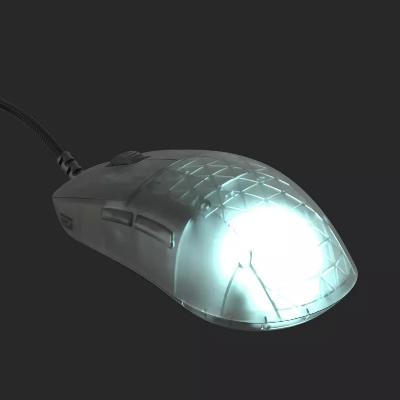 Endgame Gear OP1 RGB pelė Žaidimams Dešiniarankiams USB Type-A Optinė 26000 DPI