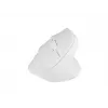 NATEC Crake 2 pelė, universali, dešiniarankiams, RF belaidė + Bluetooth optinė 2400 DPI