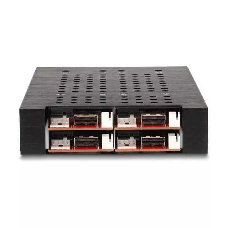 HDD Cage DeLOCK 47072 Rack Suderinama Metal 100mm Width