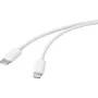 Basetech USB kabelis USB 2.0 USB-C® kištukas, Apple Lightning kištukas 2,00 m baltas BT-2347612