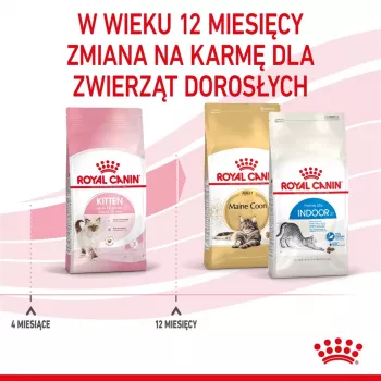 Sausas kačių maistas Royal Canin Kitten 4 kg Paukštiena — jaunesnio amžiaus sausas ėdalas, 36 % baltymų, 18 % riebalų