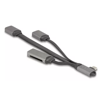 DeLOCK 64303 USB 3.2 Gen 1 Type-C šakotuvas 5000 Mbit/s Pilka