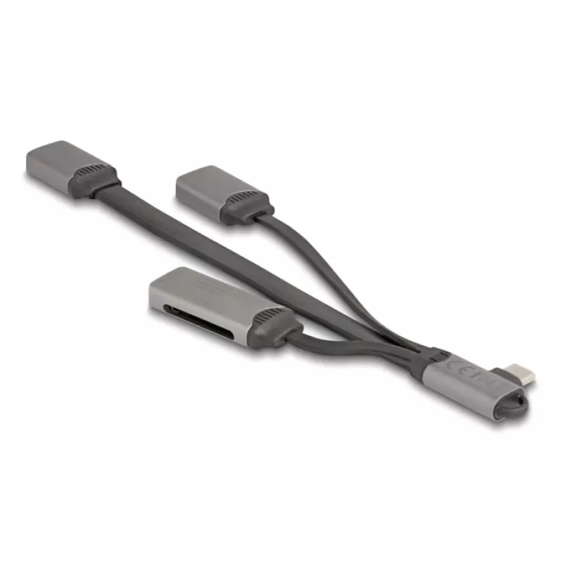 DeLOCK 64303 USB 3.2 Gen 1 Type-C šakotuvas 5000 Mbit/s Pilka