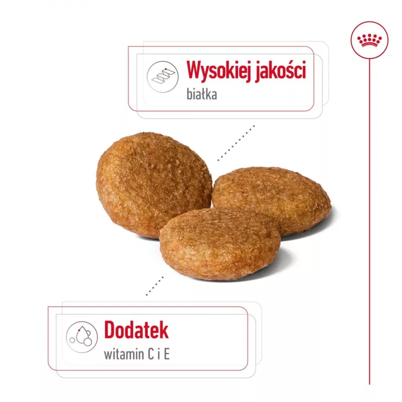 Sausas šunų maistas Royal Canin SHN Medium Adult 15 kg — visavertė mityba suaugusiems vidutinių veislių šunims, paukštiena, 25% baltymų, 14% riebalų