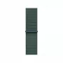 Apple 40 mm „Lake Green“ „Sport Loop“