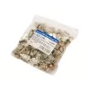 Jungties laidas LogiLink MP0003 CAT5e Plastikinis Auksinis 100 vnt.