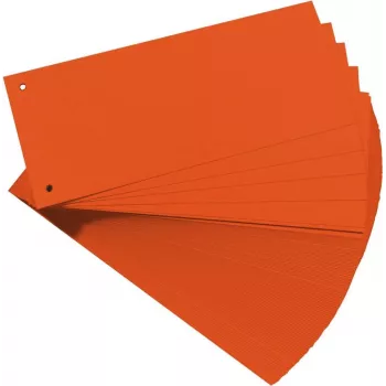 Skirtukas kartoninis Herlitz 10843647