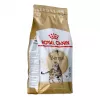 Sausas kačių ėdalas Royal Canin Bengal Adult 2 kg — paukštiena, 40 % baltymų, 18 % riebalų, virškinimo ir odos priežiūra