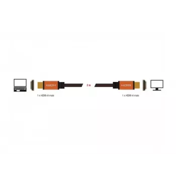 HDMI laidas DeLOCK 85729 2 m HDMI Type A Standard juodas auksinis