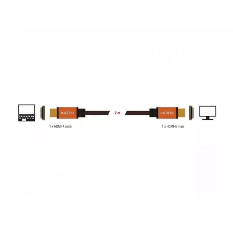 HDMI laidas DeLOCK 85729 2 m HDMI Type A Standard juodas auksinis