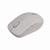 Canyon pelė MW-12 Dual band Wireless Beže - Pelė - 2.400 dpi (CNS-CMSW12BG)