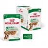 Šlapias šunų ėdalas Royal Canin Mini Ageing 12+ Adult paketėlis 85 g — mažos veislės, paukštiena, vyresnio amžiaus
