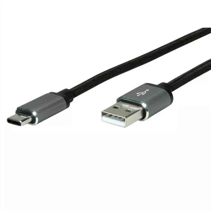 USB laidas ROLINE 11029029 USB 2.0 3 m USB A USB C juoda sidabrinė