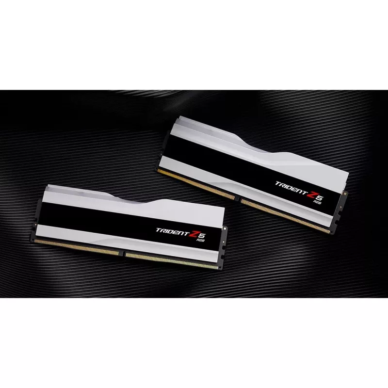G.skill F5-8000J4048F24GX2-TZ5RW atminties modulis