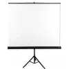 Projekcinis ekranas Avtek International Tripod Standard 200