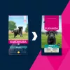 Sausas šunų maistas EUKANUBA Adult Large vištiena 15 kg — suaugusių didelių veislių pilnavertis sausas maistas, vištiena, 15 kg