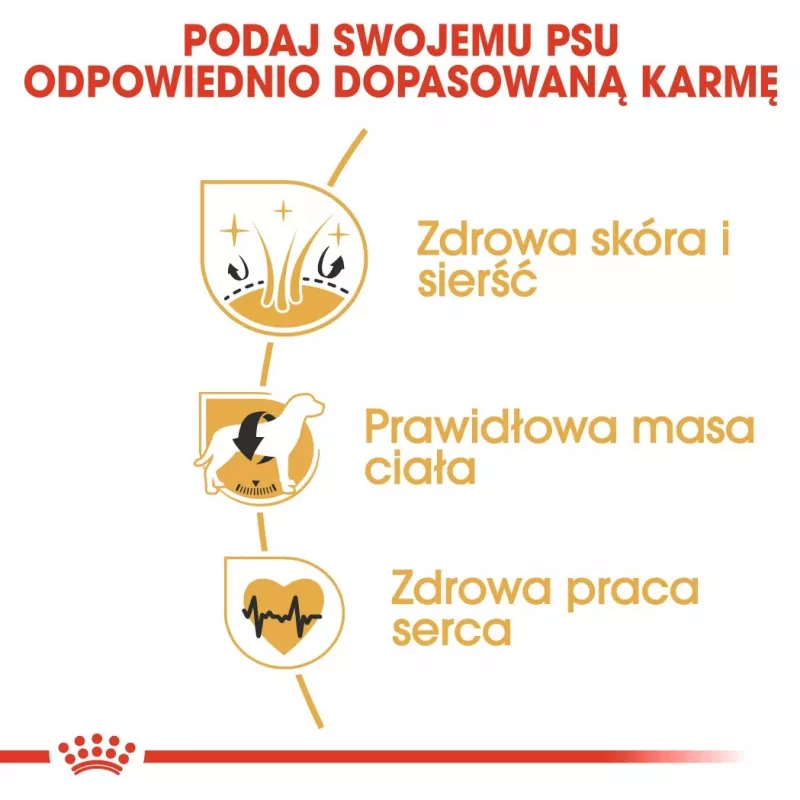 Sausas šunų maistas Royal Canin Cocker Adult 12 kg — Paukštiena, 25 % baltymų, 14 % riebalų