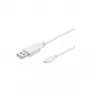 Wentronic 95143 USB laidas, baltas