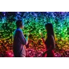 TWINKLY Strings 600 (TWS600STP-BEU) Išmanios kalėdinės eglutės girliandos 600 LED RGB 48 m