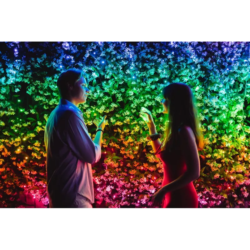 TWINKLY Strings 600 (TWS600STP-BEU) Išmanios kalėdinės eglutės girliandos 600 LED RGB 48 m