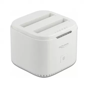 Dokų stotelė DeLOCK USB Type-C™ 3.2 2 x 2,5 colio SATA HDD/SSD