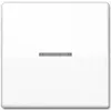 Sieninis jungiklio įdėklas JUNG AS 591 KO5BFS WW, baltas, IP44, suderinamas su 502/503/506 serijomis