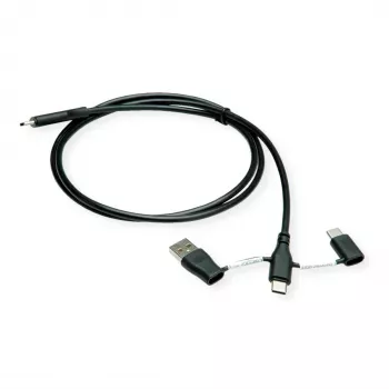 ROLINE USB 2.0 laidas tipo C ST/ST su duomenų blokavimo adapteriais A ir C – kabelis – skaitmeninis/duomenų