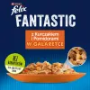 Felix Fanstastic Chicken, Tomato - šlapias kačių maistas - 85 g