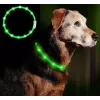 LED antkaklis Anicoll Green šunims ir katėms Model 9997790759014, įkraunamas apšvietimas