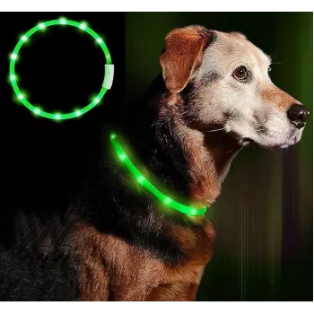 LED antkaklis Anicoll Green šunims ir katėms Model 9997790759014, įkraunamas apšvietimas