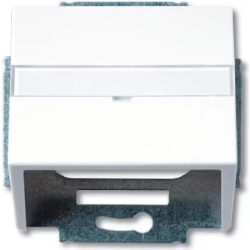 Busch-jaeger 2CKA001724A2761 tinklo įrenginys