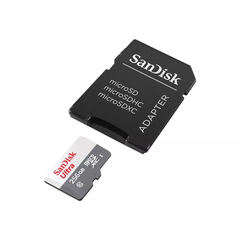 Flash atmintis SanDisk 256 GB MicroSDXC UHS-I SDSQUNR-256G-GN6TA